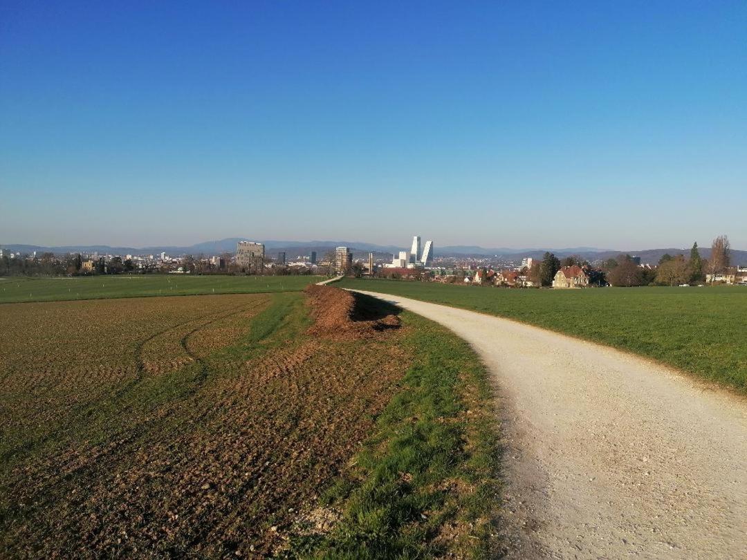 3 Rooms, 2 King-size Beds, Apartment Basel