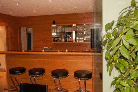 Palazzo Otel Basel