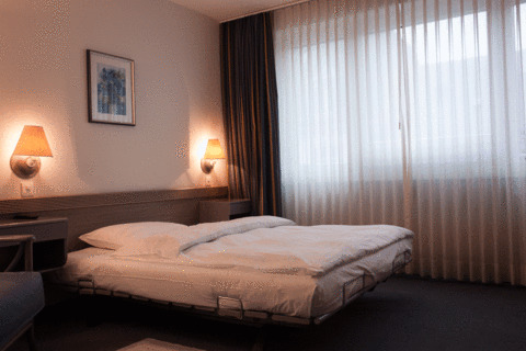 Palazzo Otel Basel