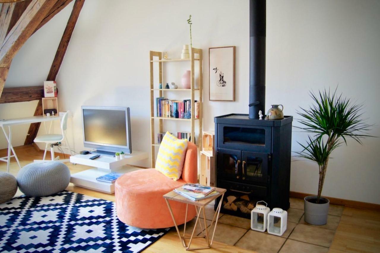 In Swiss Spalenberg University Loft Apartment Basel