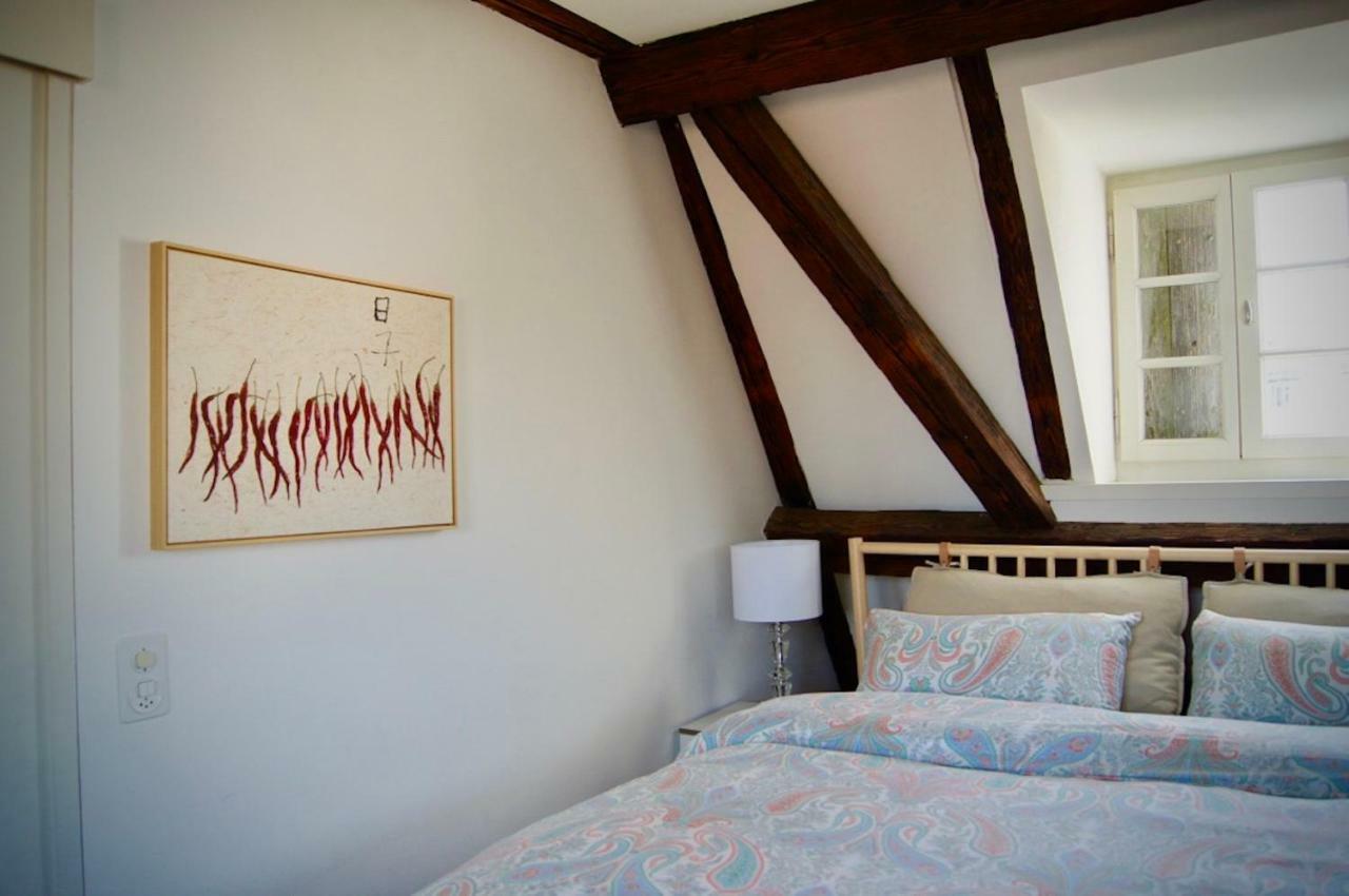 In Swiss Spalenberg University Loft * Basel