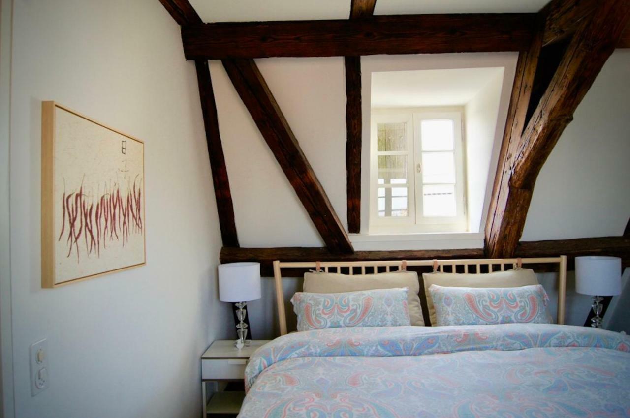 In Swiss Spalenberg University Loft *