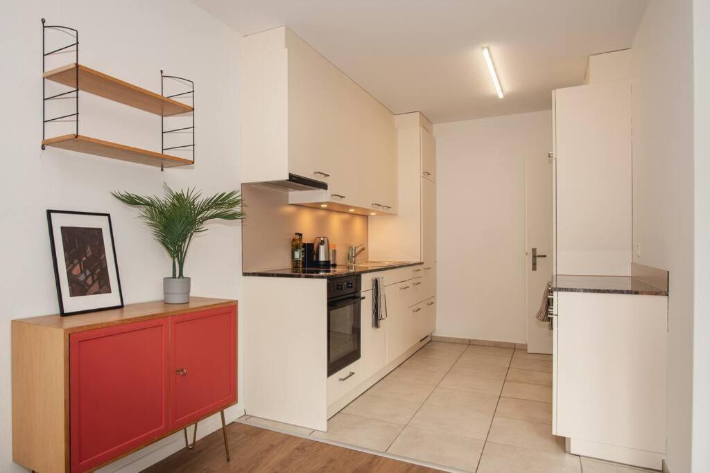 Spacious Next To Rhine * Basel