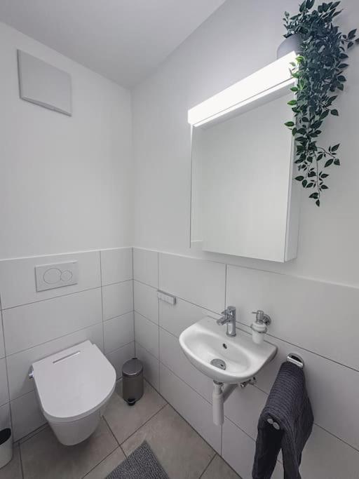 Spacious Next To Rhine *