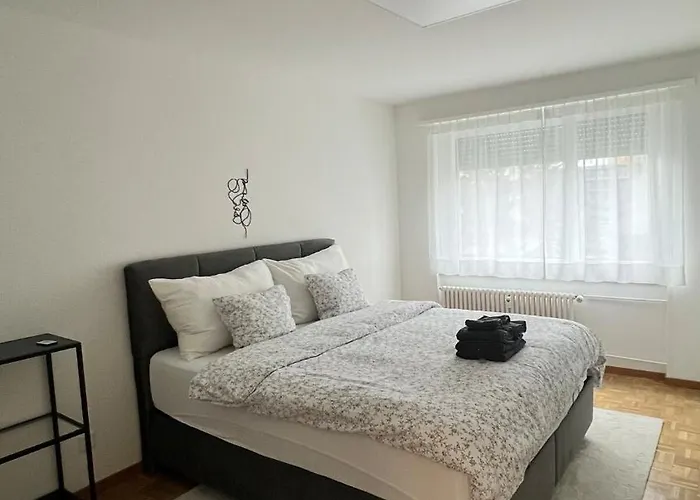 Modern Apartment In Basel
