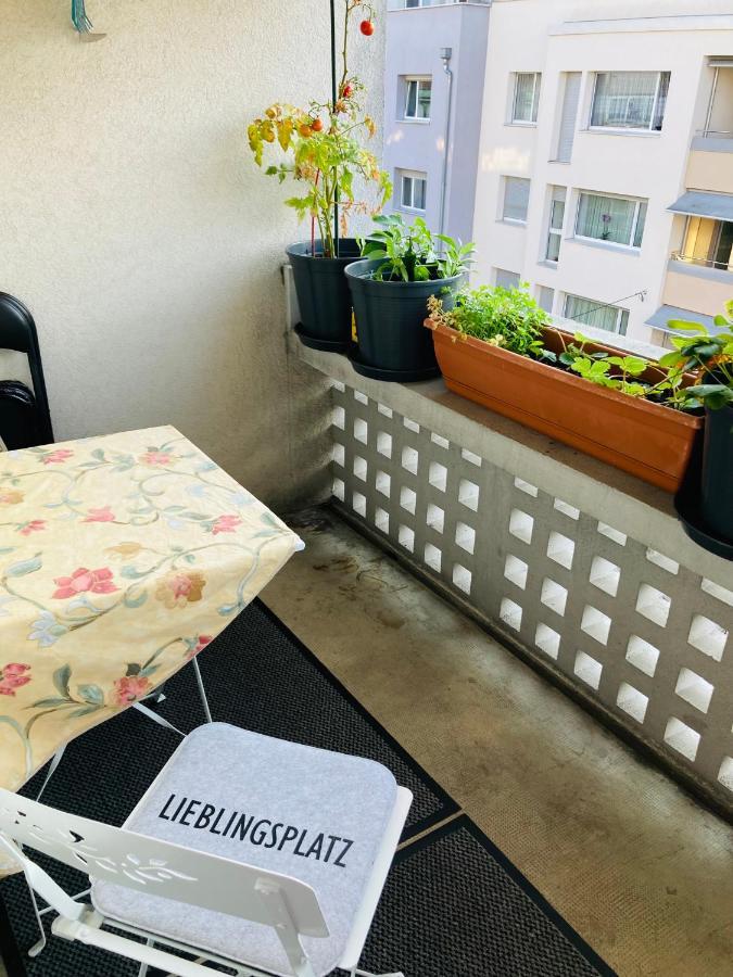 In The Heart Of Basel, Cozy And Beautiful Near The Rhine Homestay *