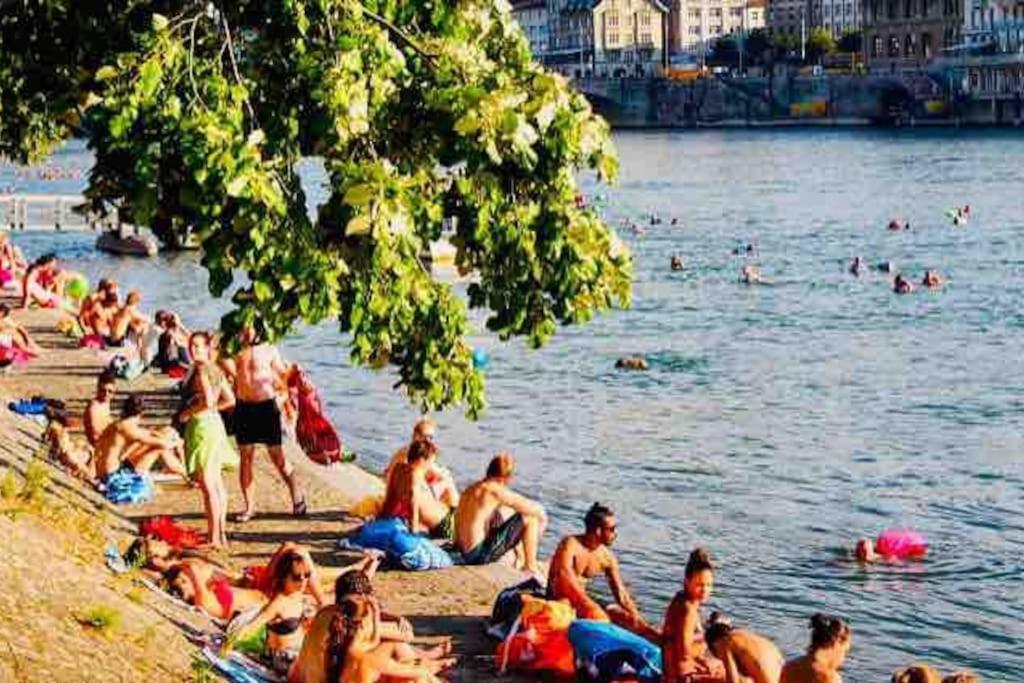 In The Heart Of Basel, Cozy And Beautiful Near The Rhine Homestay *