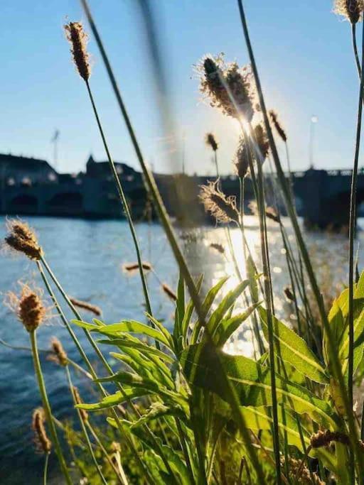In The Heart Of Basel, Cozy And Beautiful Near The Rhine Basel