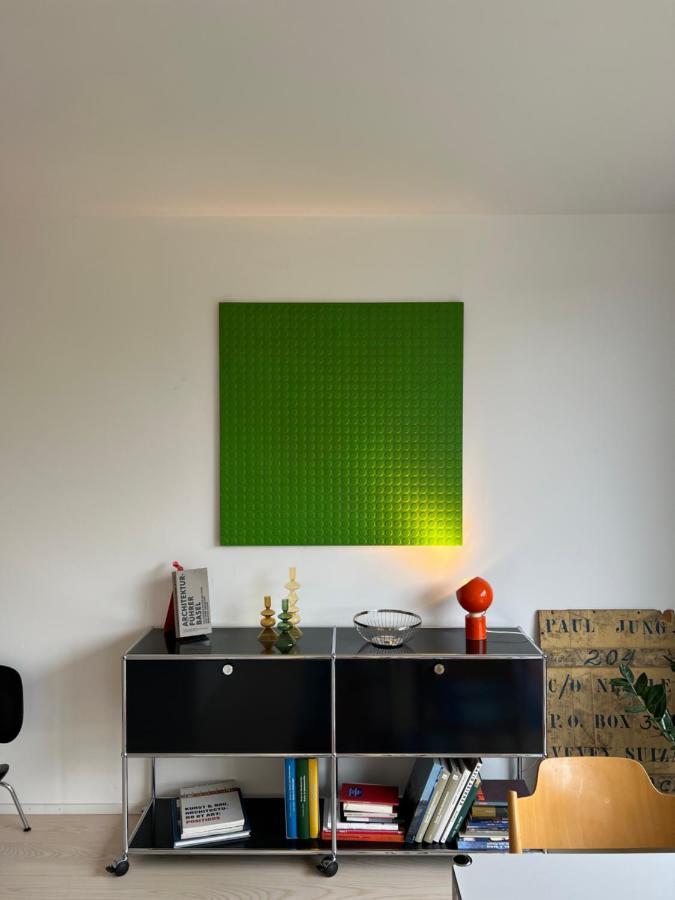 Komfortables Im Herzen Von Mit Sicht Auf Den Rhein Apartment