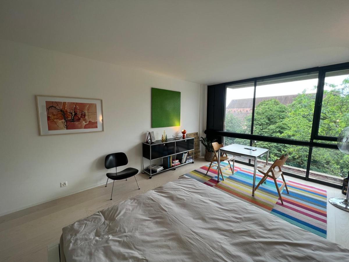 Komfortables Im Herzen Von Mit Sicht Auf Den Rhein Apartment *