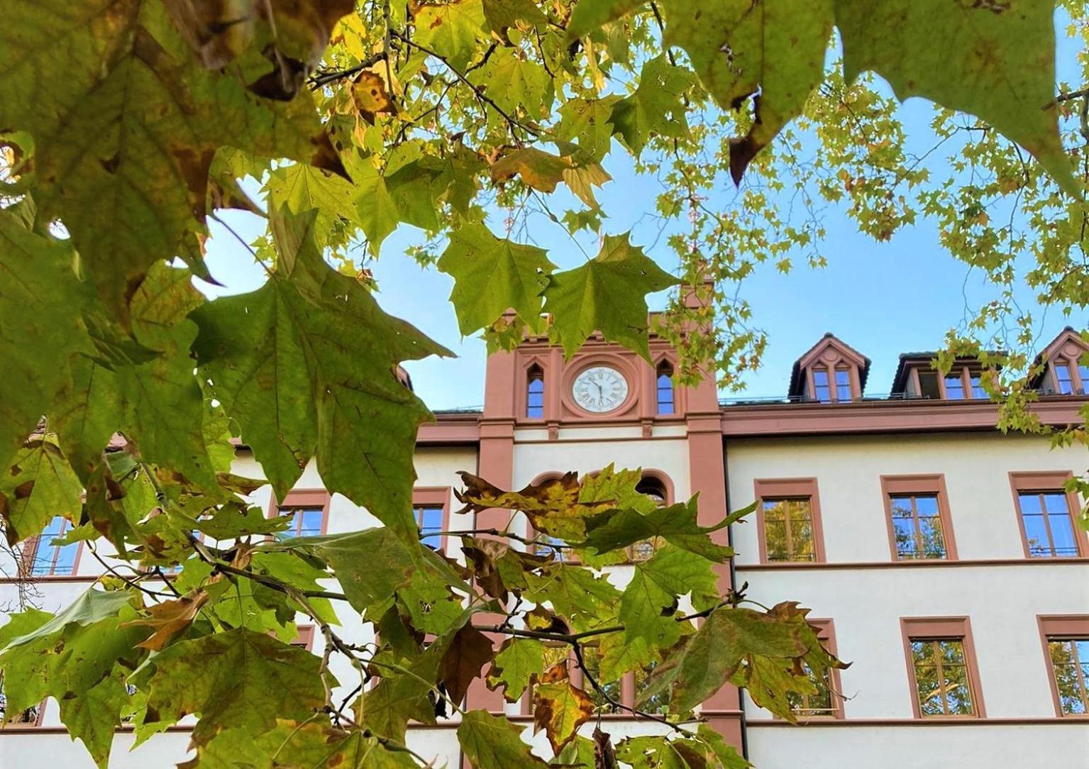Hotel Odelya Hotel&naturgarten 3*