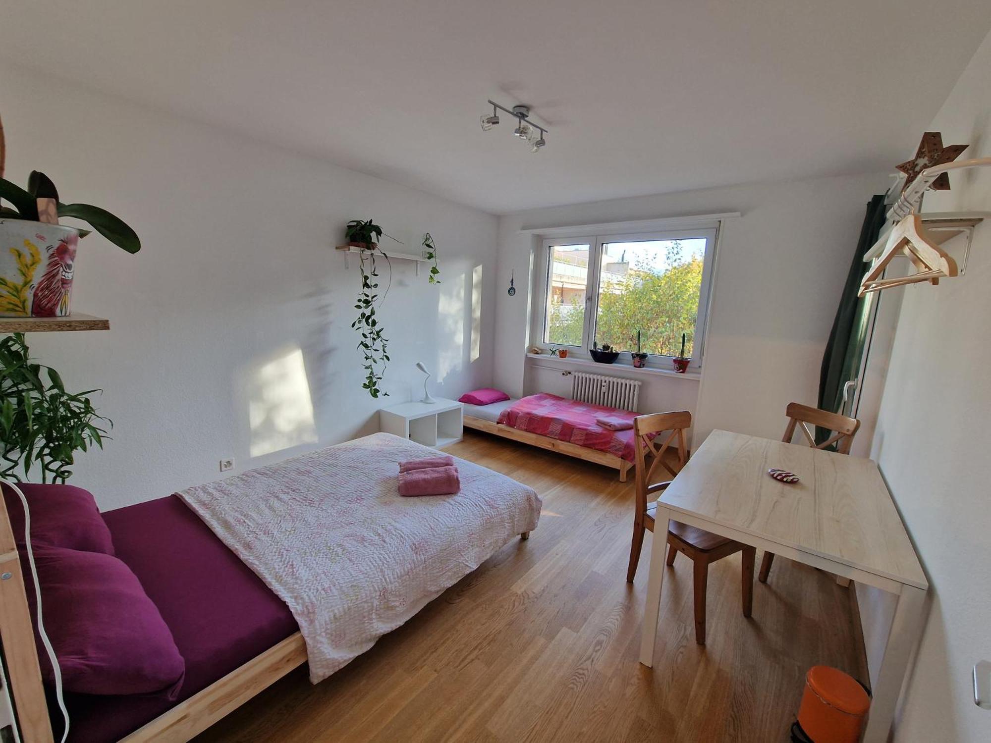 Doppelzimmer In Der Naehe Des Stadions Basel