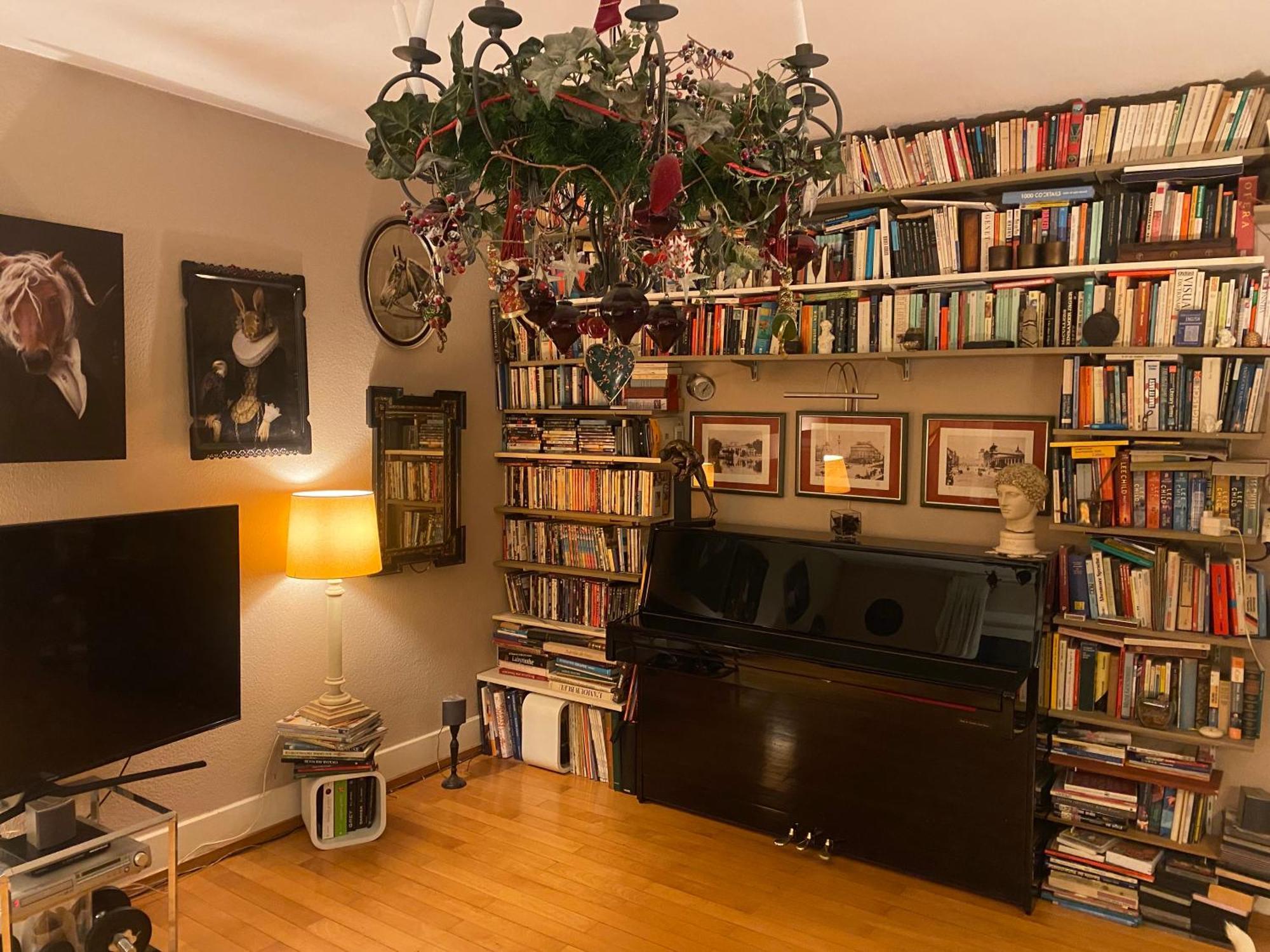 Apartment Jaro's Place
