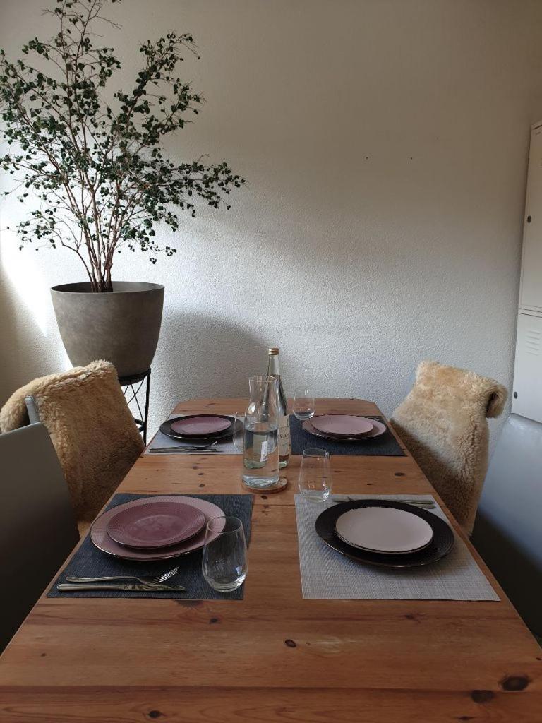 Esc Apartment Basel Apartment