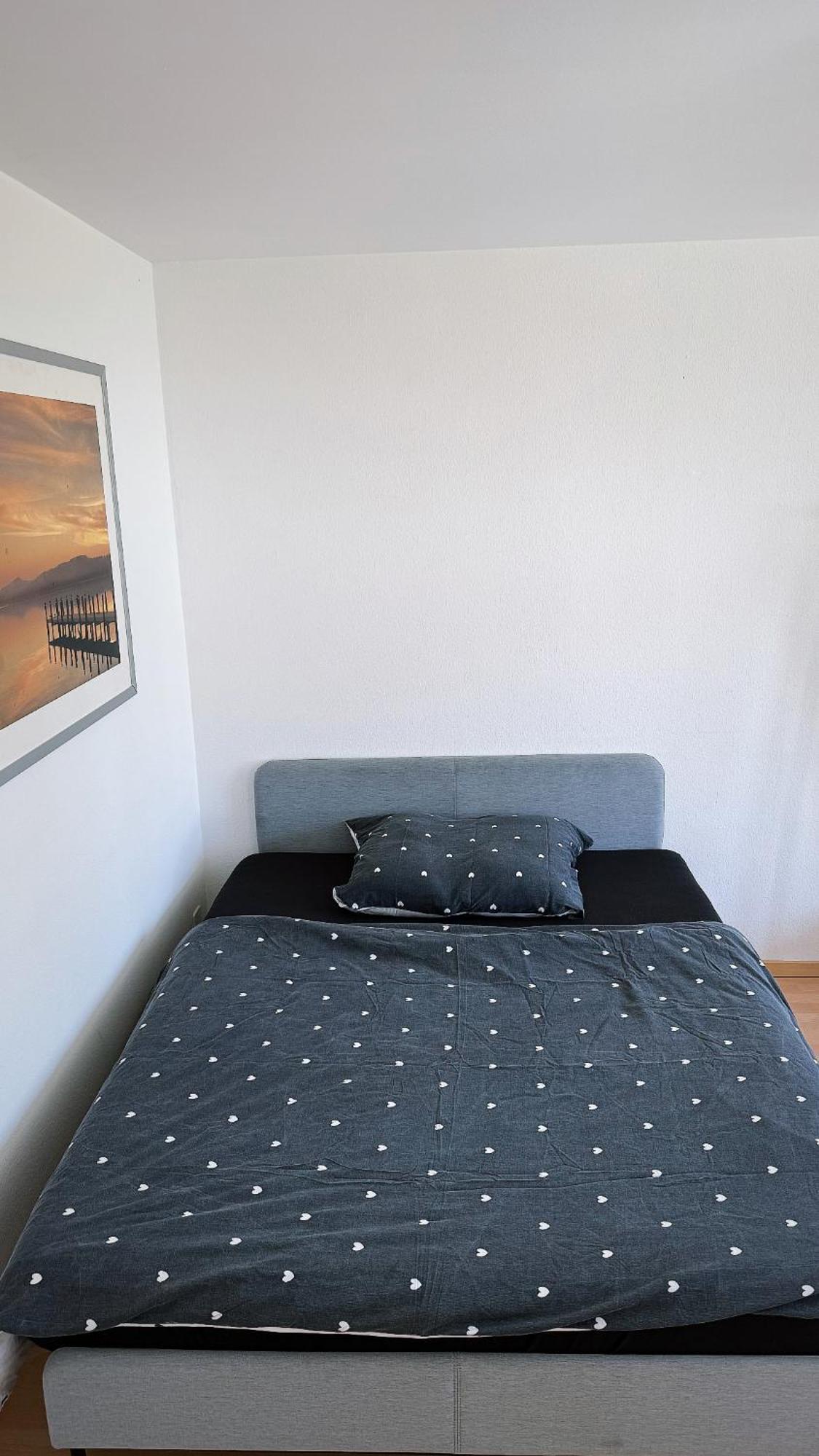 Messeplatz Klein Aber Fein Apartment Basel